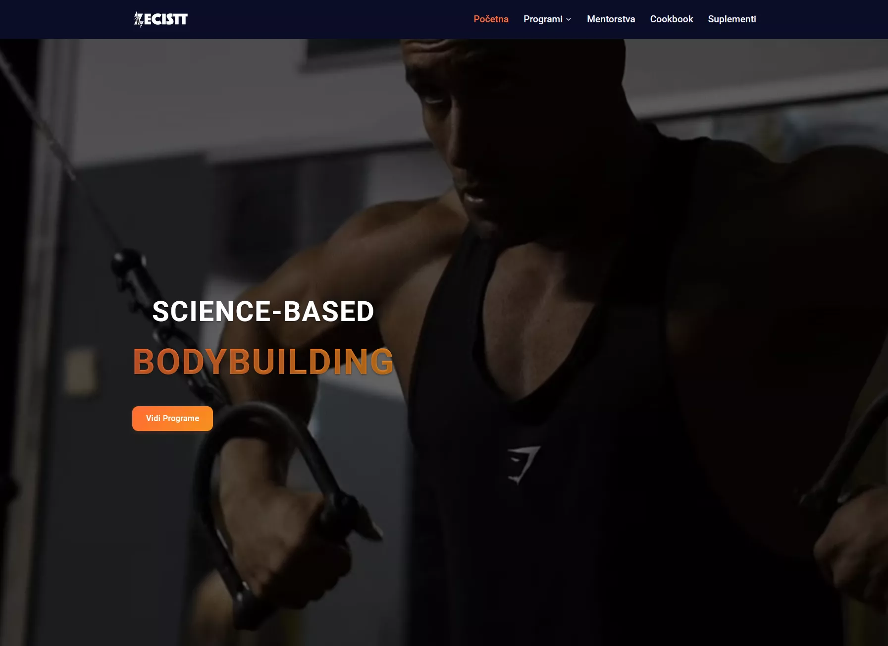 Zecistt – construction and renovation services website